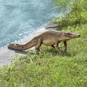 WALKING CROCODILE STATUE                        NR