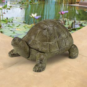 AESOPS TURTLE STATUE